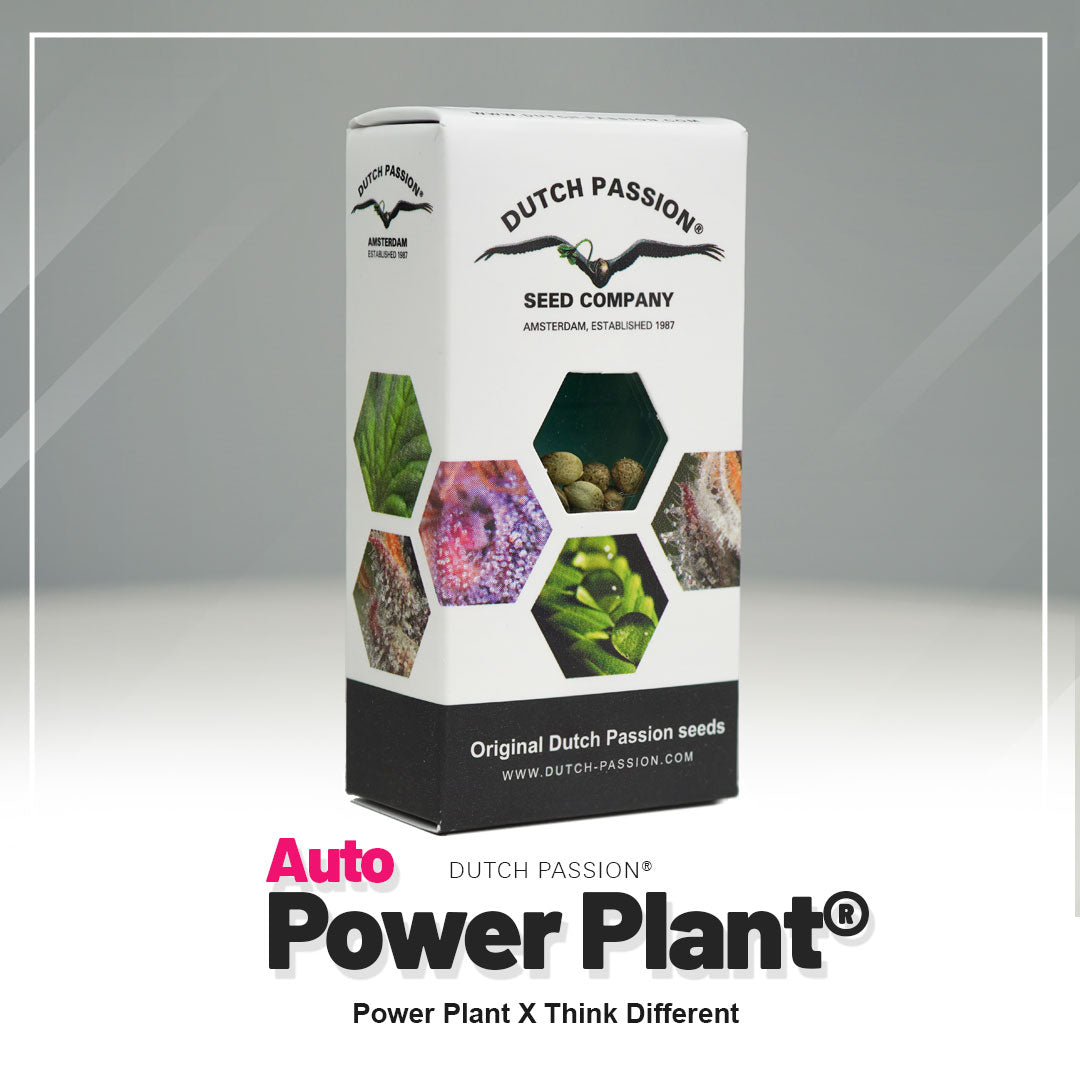 Power Plant - Auto Hanfsamen Verpackung