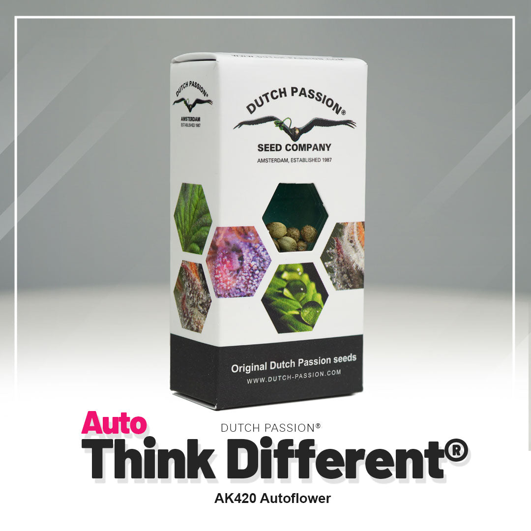 Think Different Auto Hanfsamen Verpackung