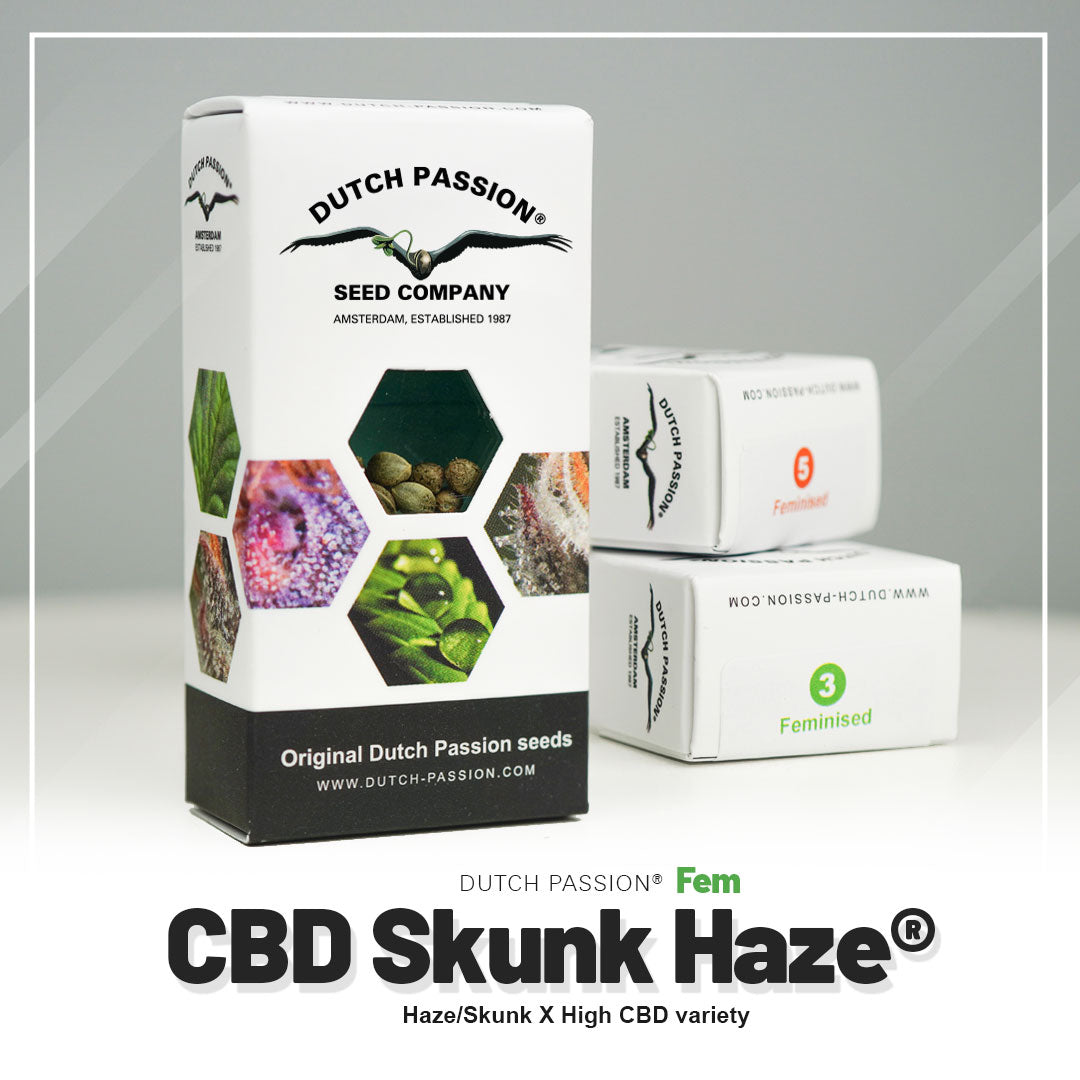 CBD Skunk Haze - Feminisierte Hanfsamen Verpackung