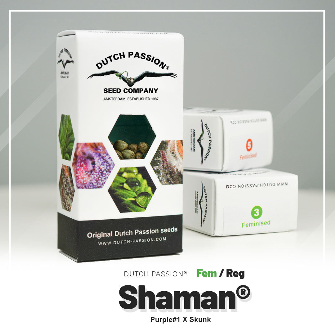 Shaman - Feminisierte Hanfsamen Verpackung