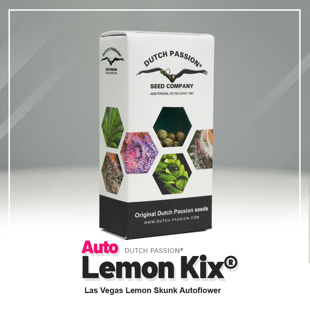 Lemon Kix - Auto Hanfsamen Verpackung